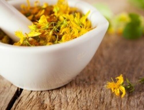 What Is St. John’s Wort?
